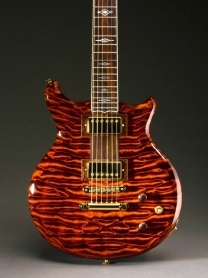 Scott Walker Guitars Walker Special Natural Proto #3