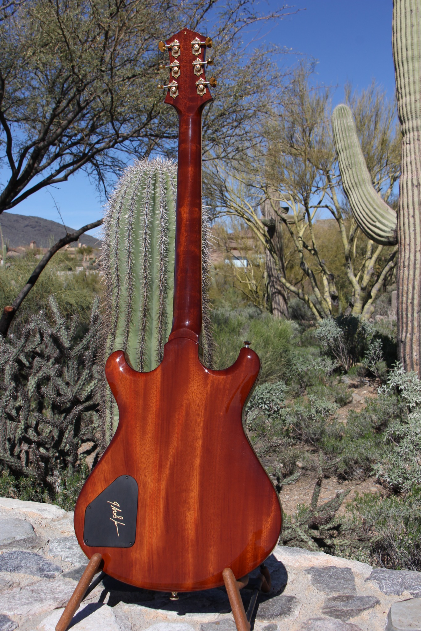 Knaggs Keya Tier 1 Serial #3 — full back