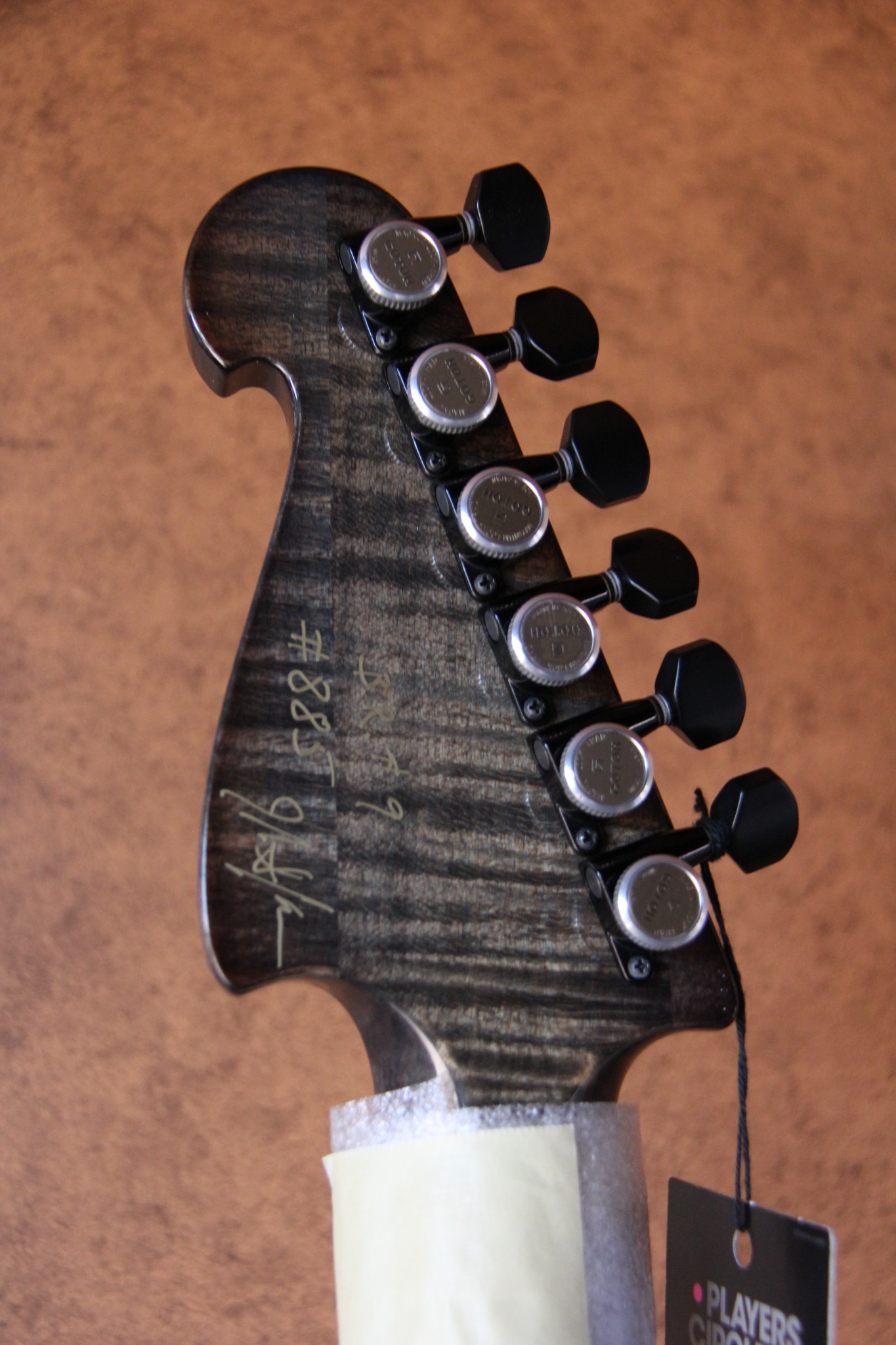Knaggs Black Rhino Severn HSS #9 — headstock back