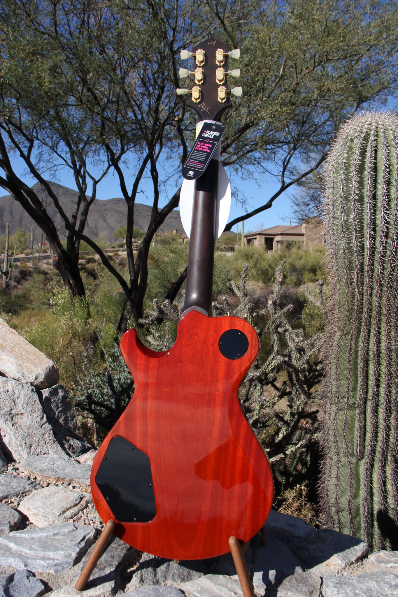 Knaggs Steve Stevens SSC #104 — full back