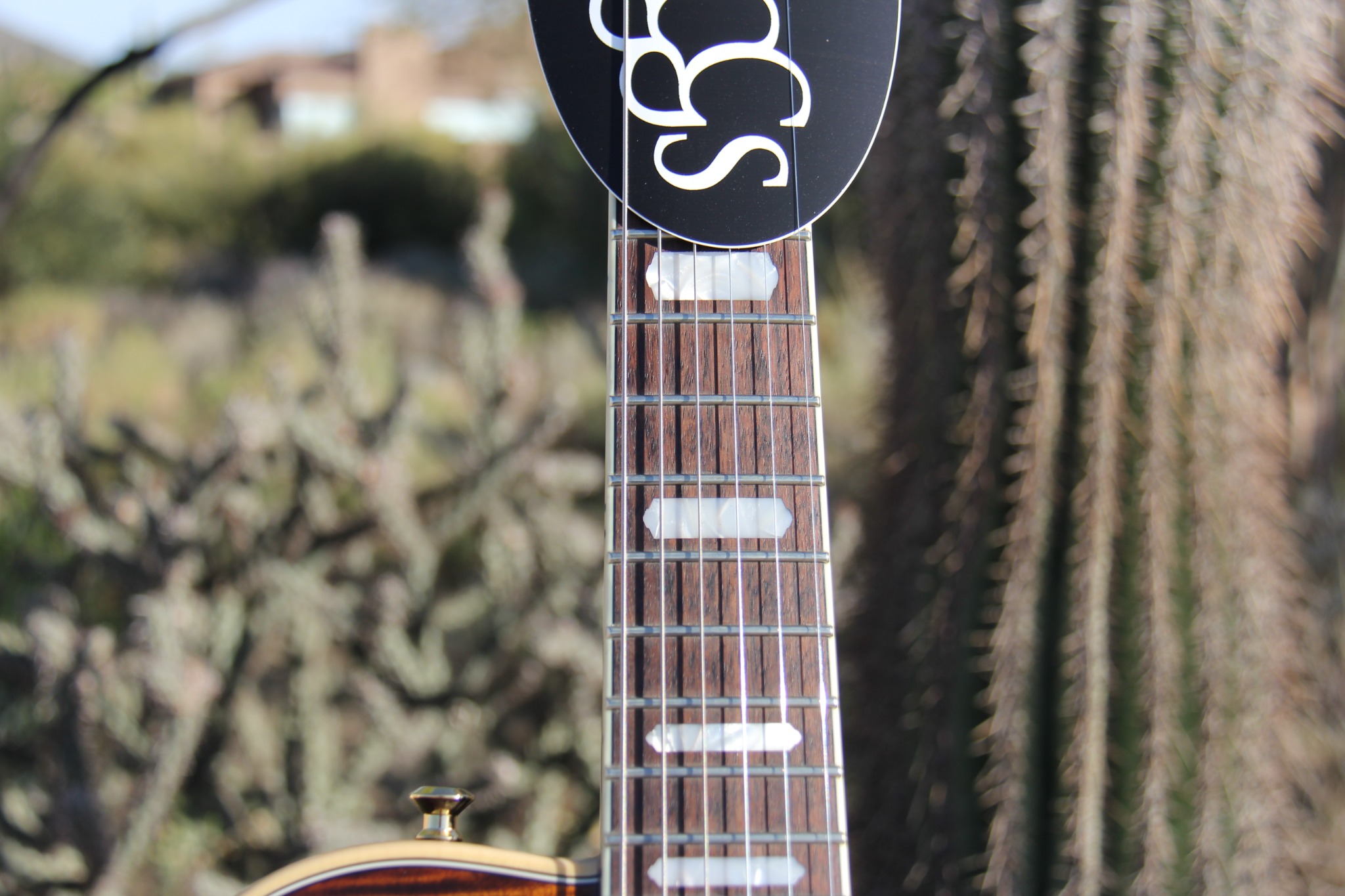 Fingerboard and upper top detail