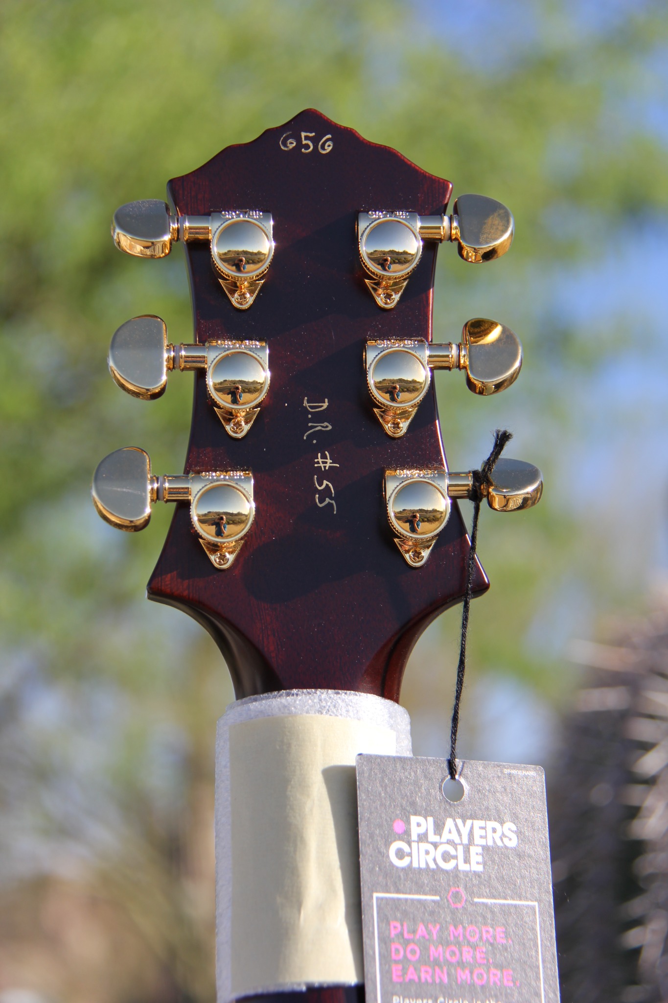 Knaggs Doug Rappoport Kenai — headstock back